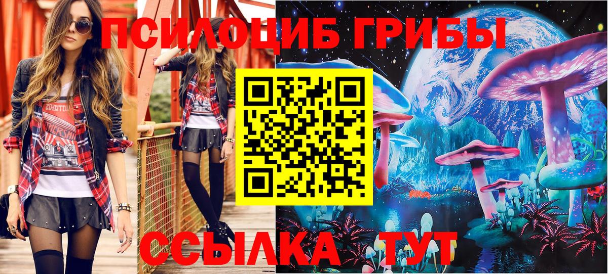 Галлюциногенные грибы Psilocybe Новый Уренгой