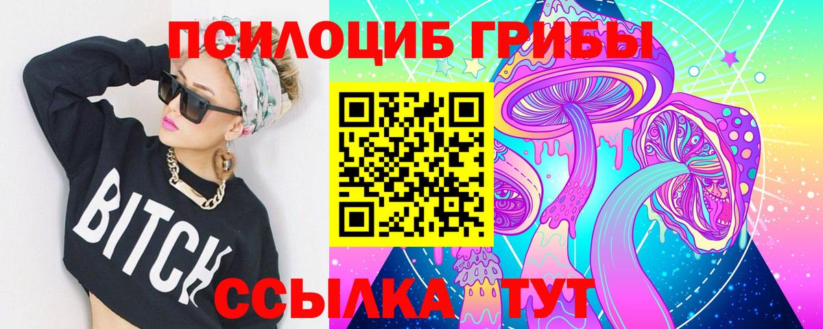 Псилоцибиновые грибы Magic Shrooms  Псилоцибиновые грибы Magic Shrooms  Новый Уренгой  сколько стоит  Вход с VPN 